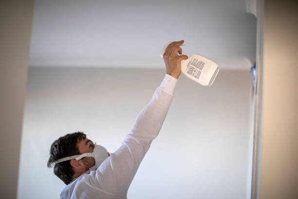 Best Toxic Mold Removal  in Justice, IL